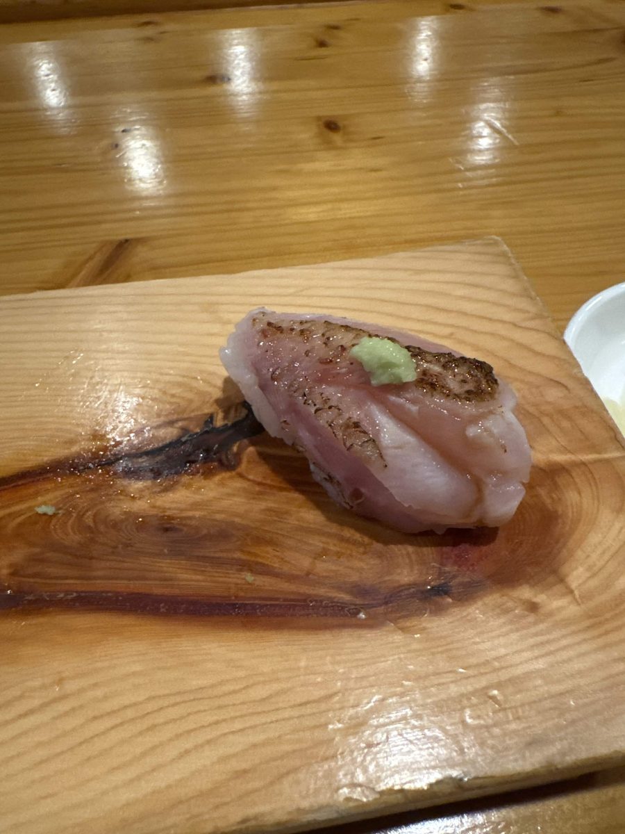 Nodoguro rosy seabass